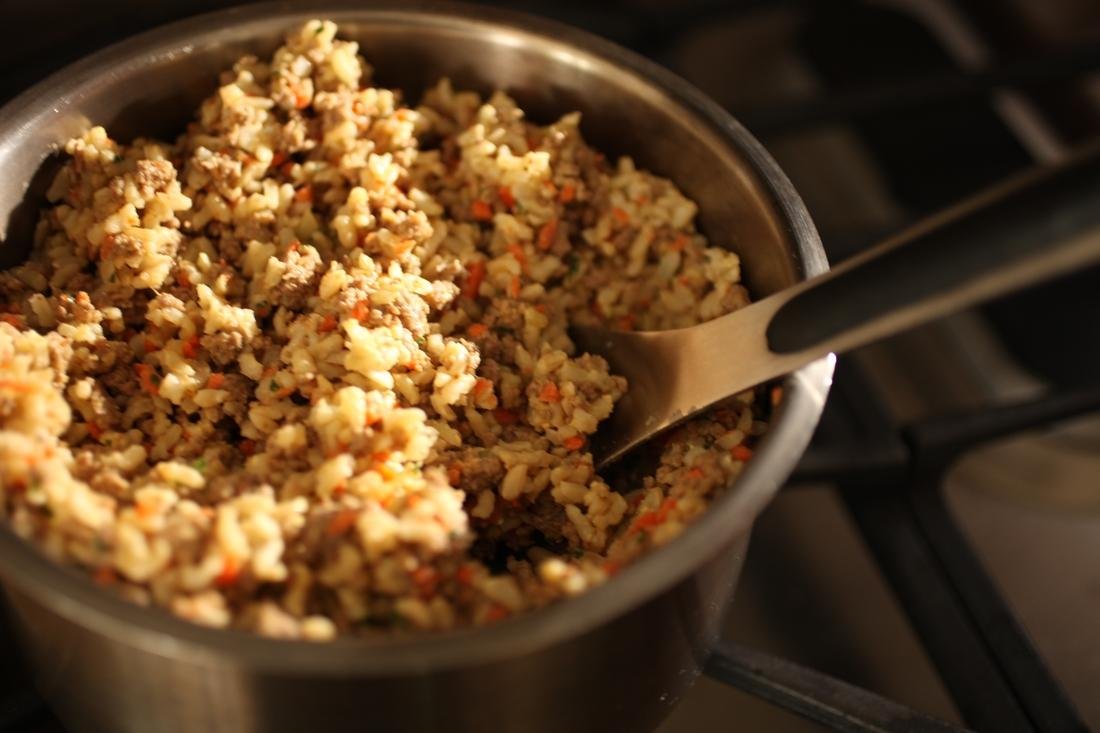 10-Minute Homemade Dog Meals