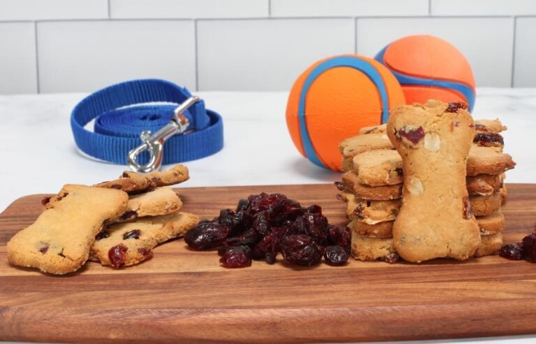 Turkey and cranberry dog treats