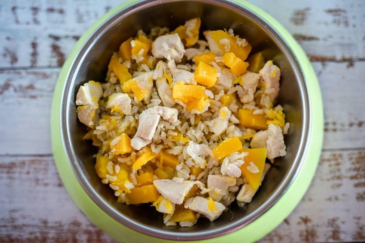 Grain free pumpkin dog food