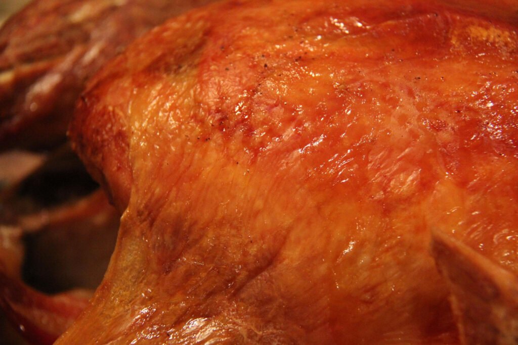 Can Dogs Eat Turkey Skin