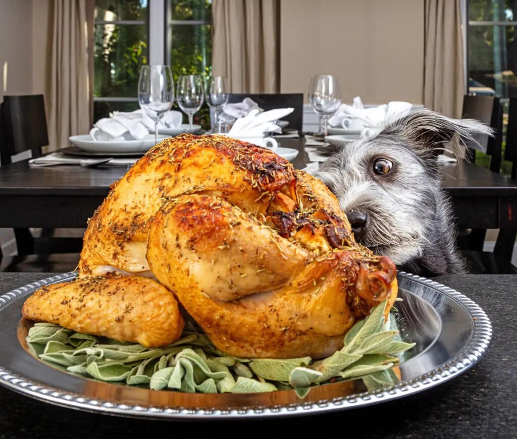 Dog friendly Thanksgiving dinner items