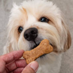 Homemade Dog Chew Treats