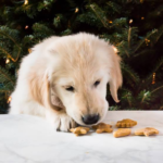 Candy Cane Cookie Bliss