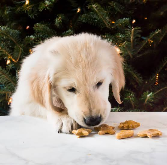 Candy Cane Cookie Bliss