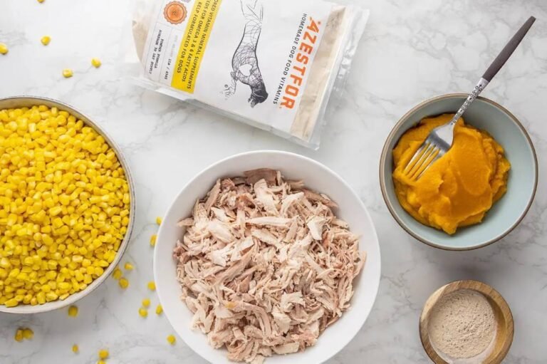 Leftover turkey dog food ideas
